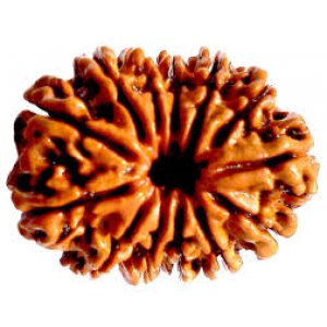 shop_product